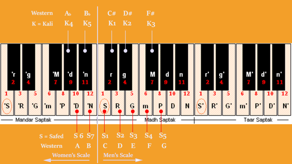 develop vocal range