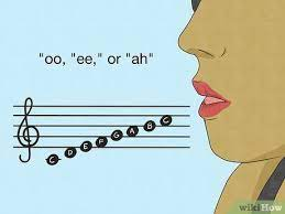 Vocal Runs