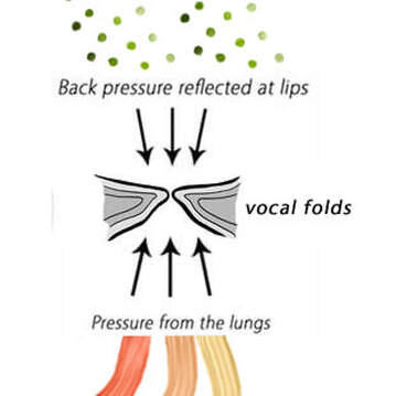 Vocal Trills